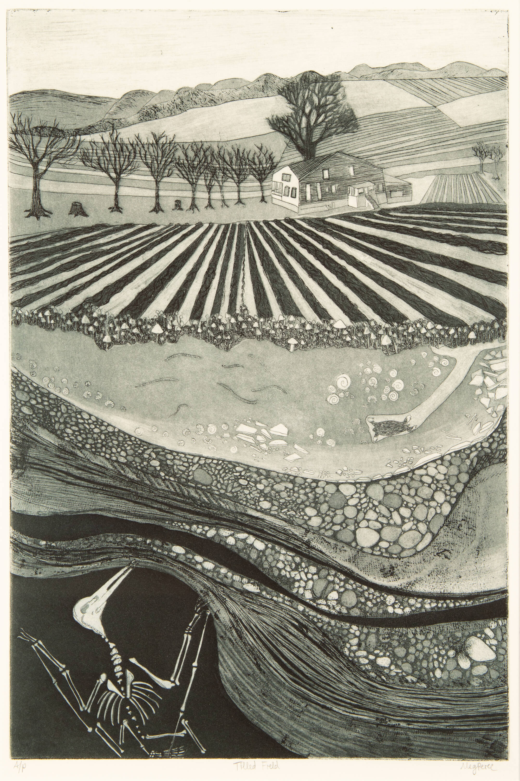 Black and white print of a cross section of a farm. Bones of a dinosaura bottom left, with layers of the ground striped across the center of the image. Top image has a farmhouse and trees.